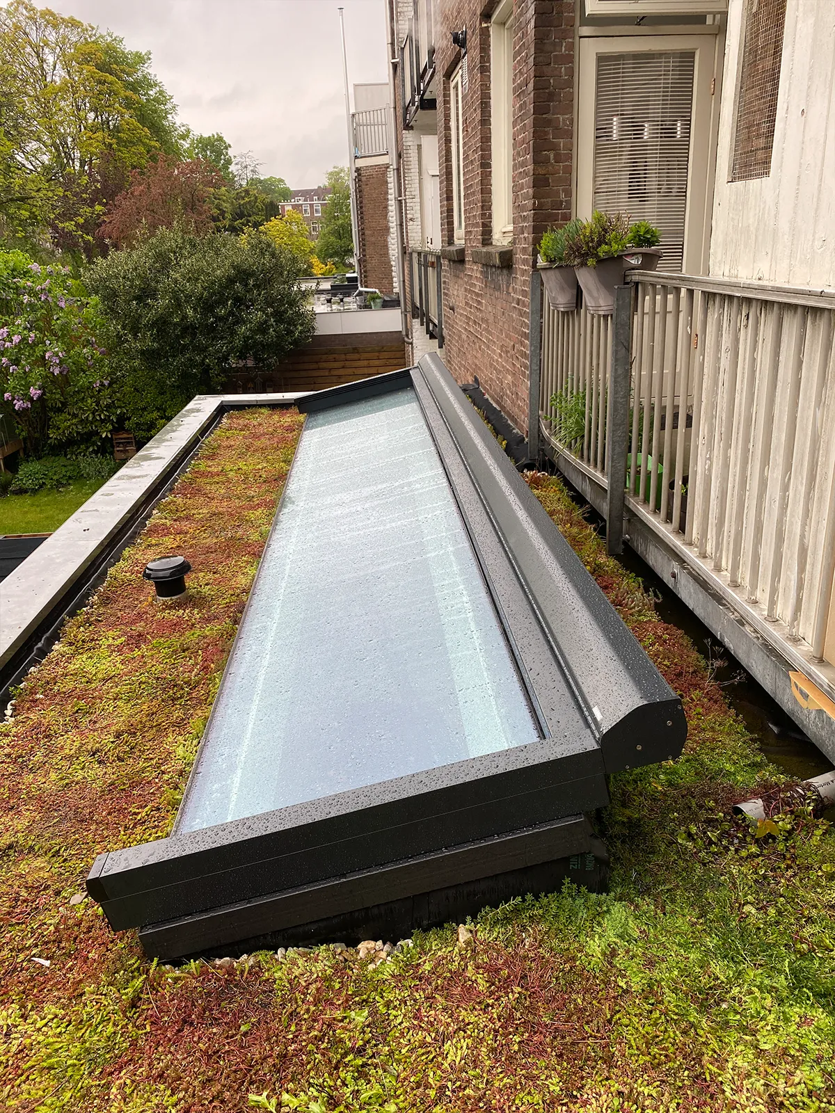Amsterdam Linnaeusparkbuurt topblind XL