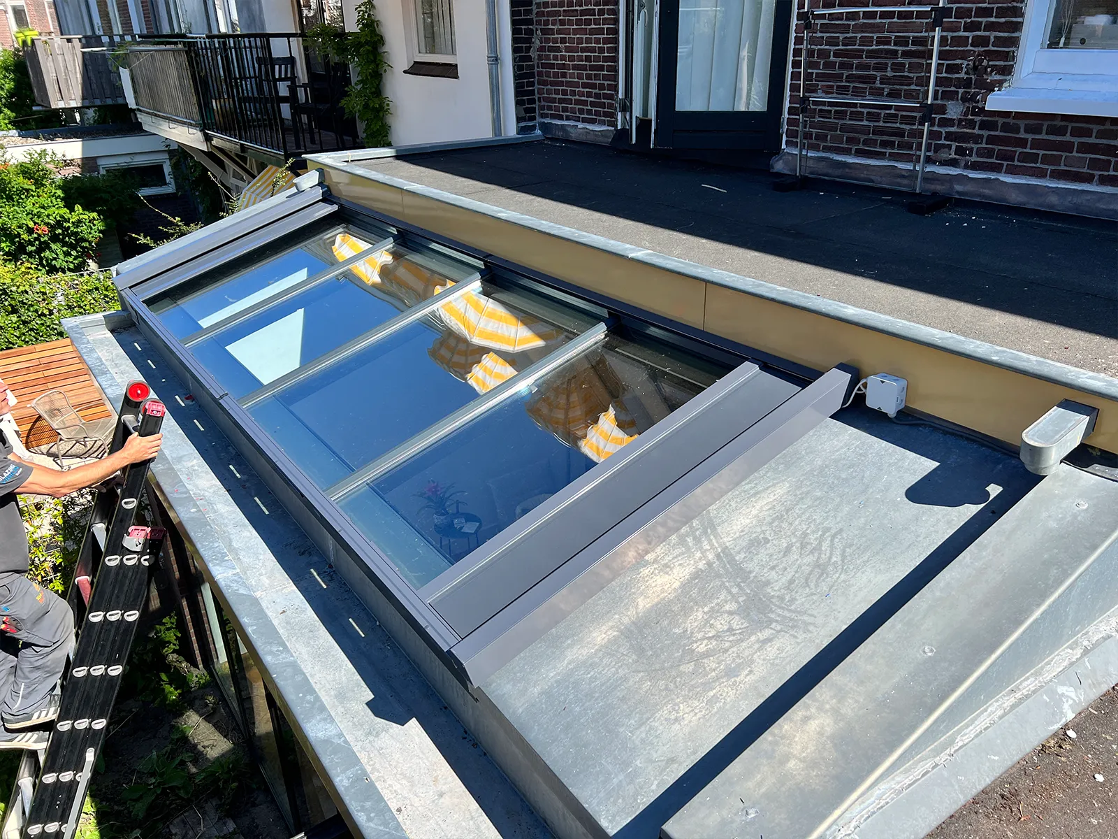 Haarlem topblind L