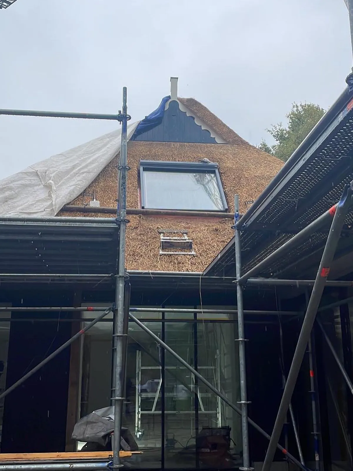 Noordlaren topblind L