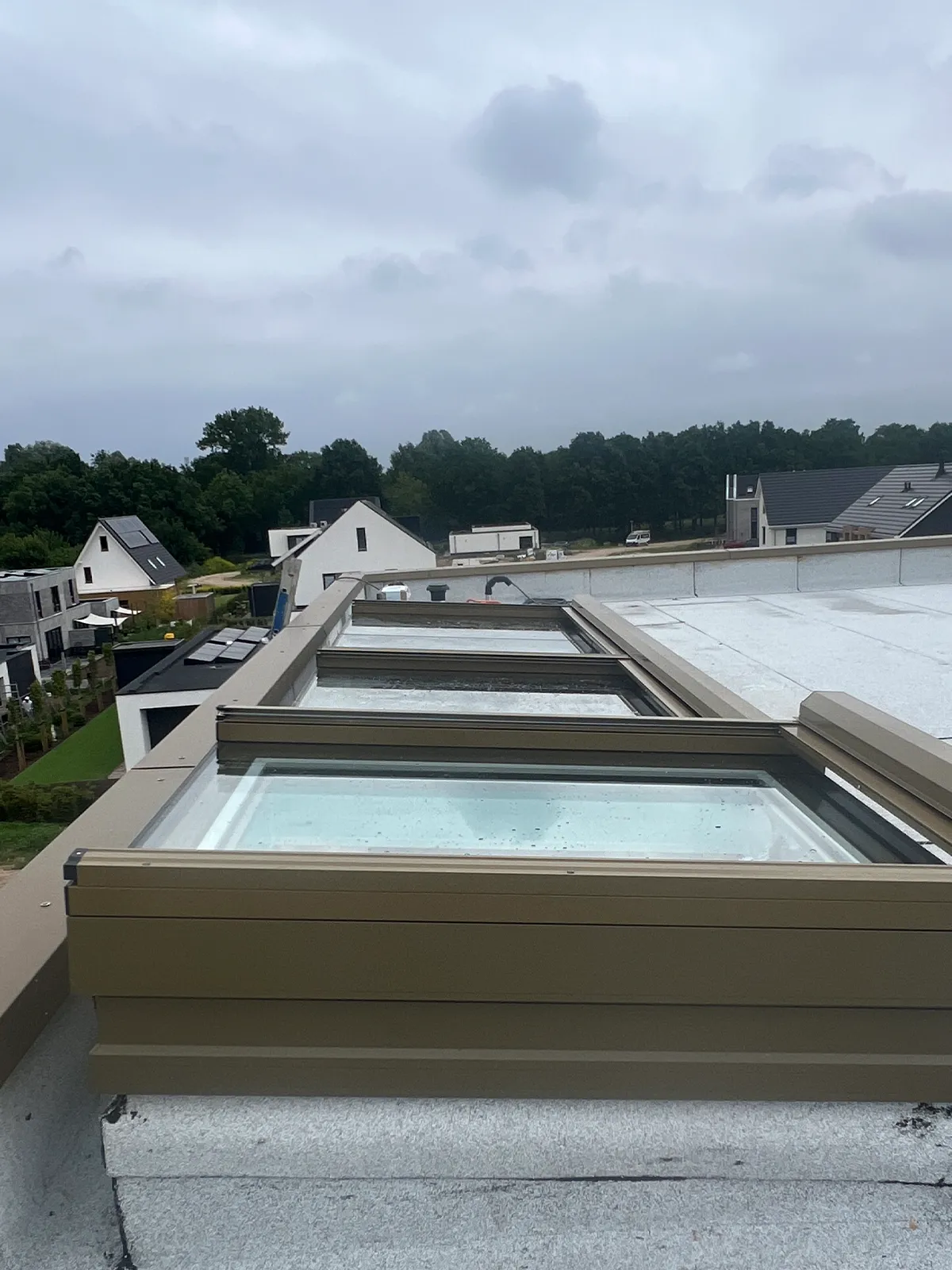 Zutphen topblind L
